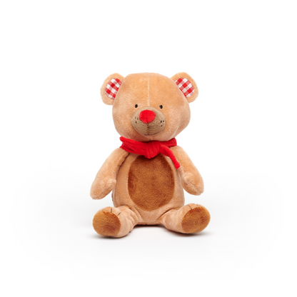 Fien & Teun - plush Mr Bear - small (20 cm)