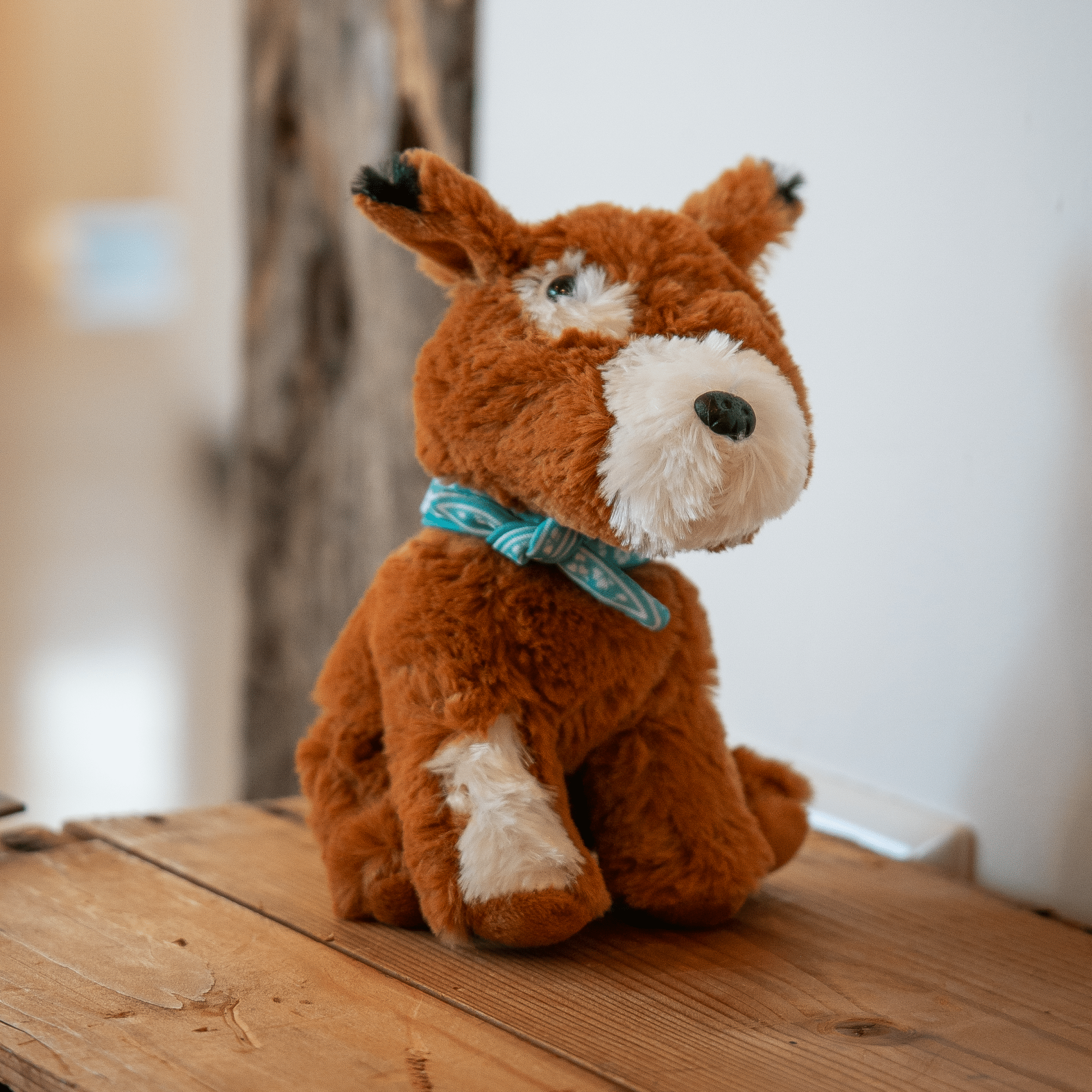 Fien & Teun - knuffel Pim de Hond (20 cm) - Van Hoorne Shop