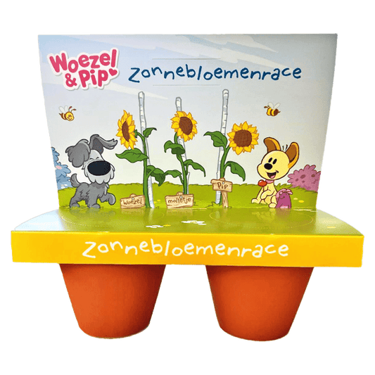 Woezel & Pip Zonnebloemrace - Van Hoorne Shop